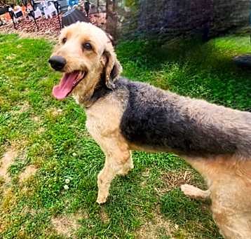 Photo of Polly