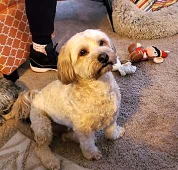 Photo of BO #2