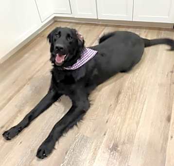 Photo of Olaf