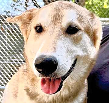 Photo of Taffy