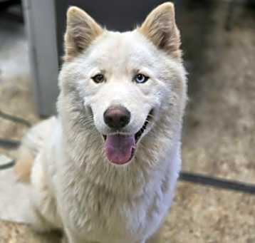 Photo of Lola