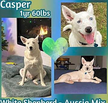 Photo of Casper