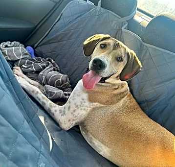 Photo of Clementine