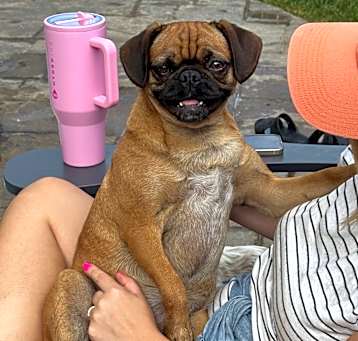 Photo of Lulu