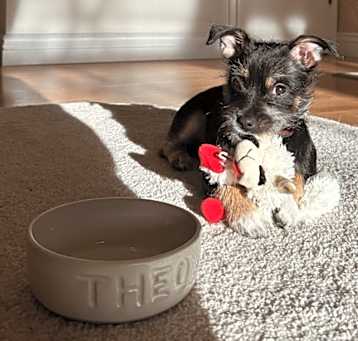 Photo of Theo