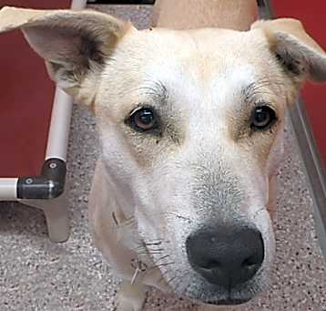 Photo of BELLA