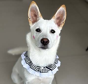 Photo of RIKKO