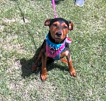 Photo of Layla/Lainey