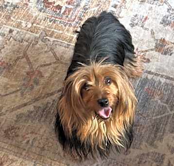 Photo of Tina