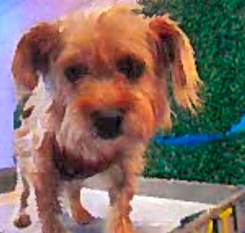 Photo of Bronx