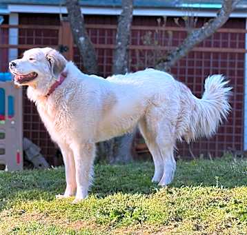 Photo of Roxy