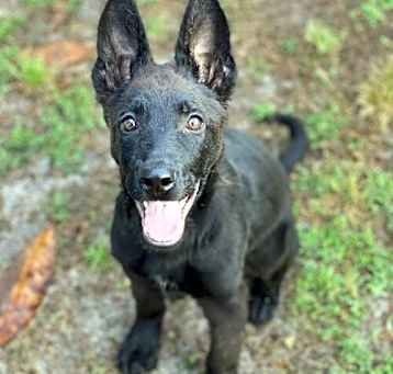 Photo of Batman