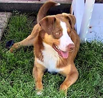Photo of Jak