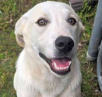Photo of Casper