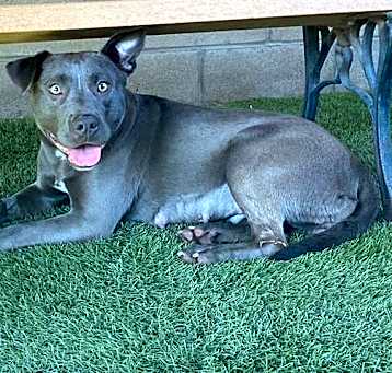 Photo of ANNIE
