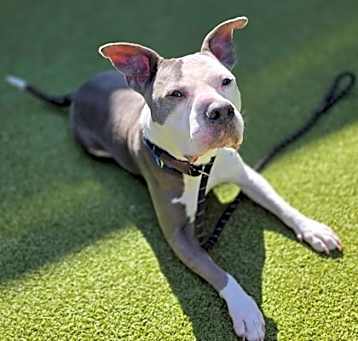 Photo of Benny