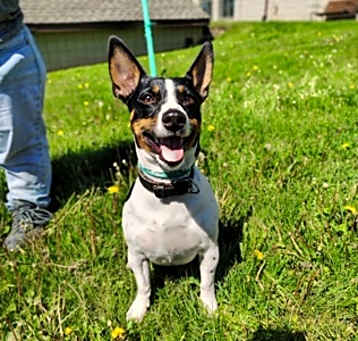 Photo of Duke