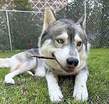 Photo of Ghost