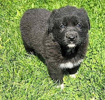 Photo of Darla