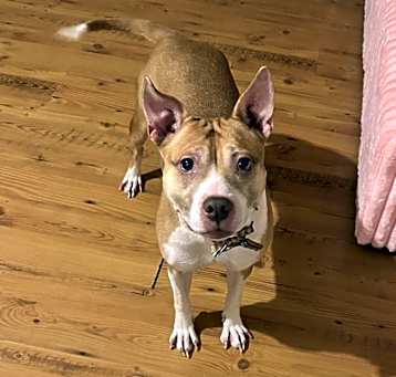 Photo of Zaza