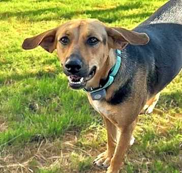 Photo of Pheobe