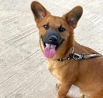 Photo of Marka