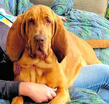 Photo of Ruby Tuesday
