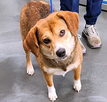 Photo of Winnie