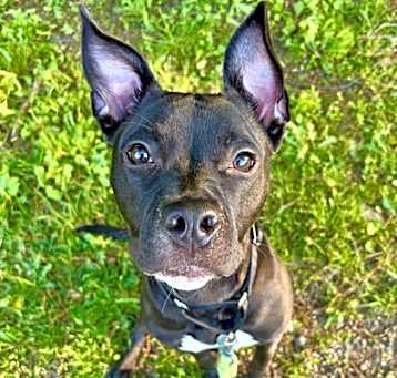 Photo of Sprout