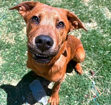 Photo of rocket