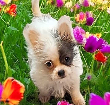 Photo of Little dude