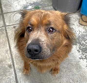 Photo of Oso