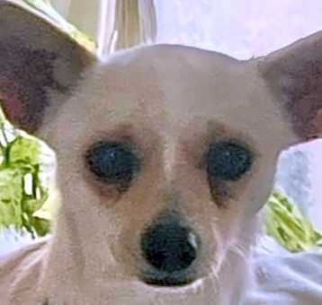 Photo of Channe