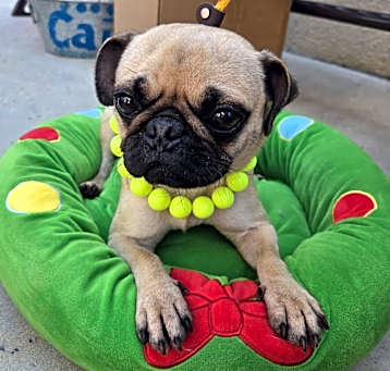 Photo of Kimmie