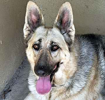 Photo of ELSA