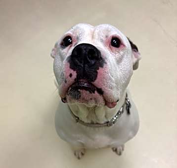 Photo of Maverick