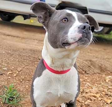 Photo of Missy
