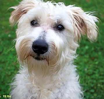 Photo of Gumdrop