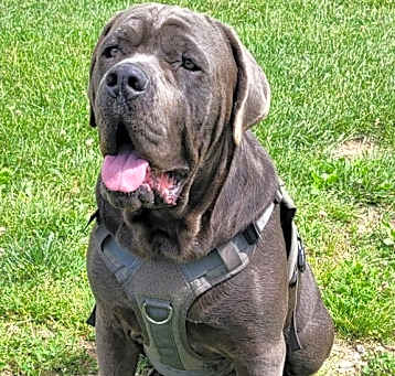 Photo of Zuko