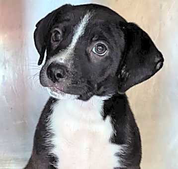 Photo of Maudie