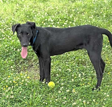 Photo of Teddy