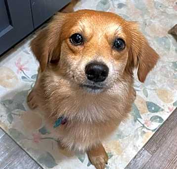 Photo of Sulley