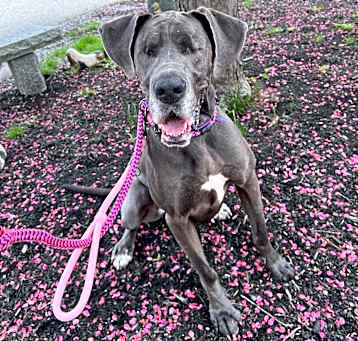 Photo of Hilda