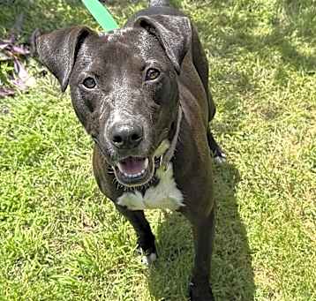 Photo of Duke