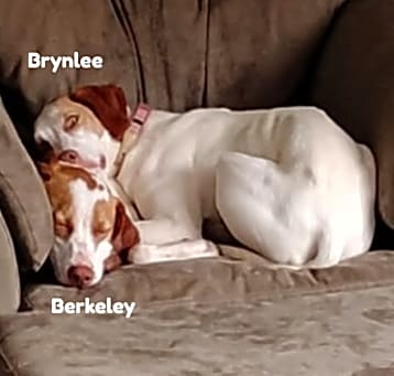 Photo of Brynlee