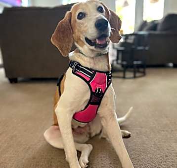 Photo of Nancy