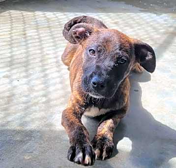 Photo of Tinkerbell 8438