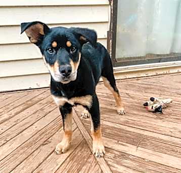 Photo of Thor
