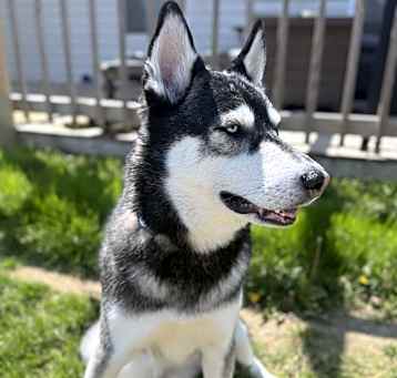Photo of Artu