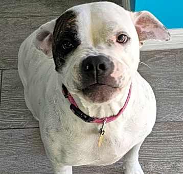 Photo of Selina